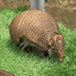 Profile picture of Test Mod